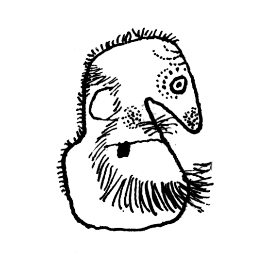 Autor - Byron Barton